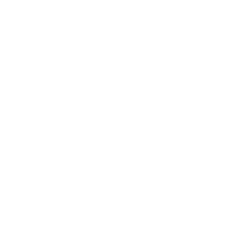 Dude Wipes Logo 